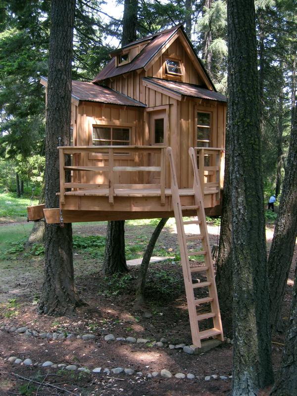 6 Pasos para construir una casa en un árbol - VivirHoy