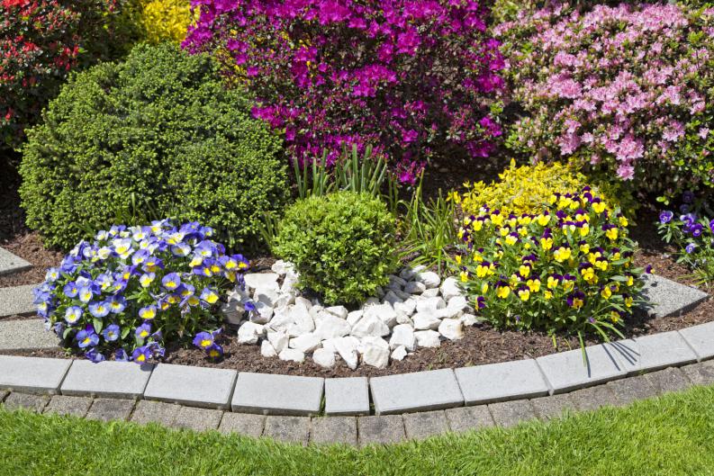 4 Tips para crear un Hermoso Jardín