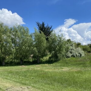 Venta Parcela Plana Codigua Melipilla $65.000.000 Código 227